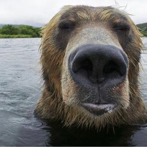 Meet your Posher, Andrew alt